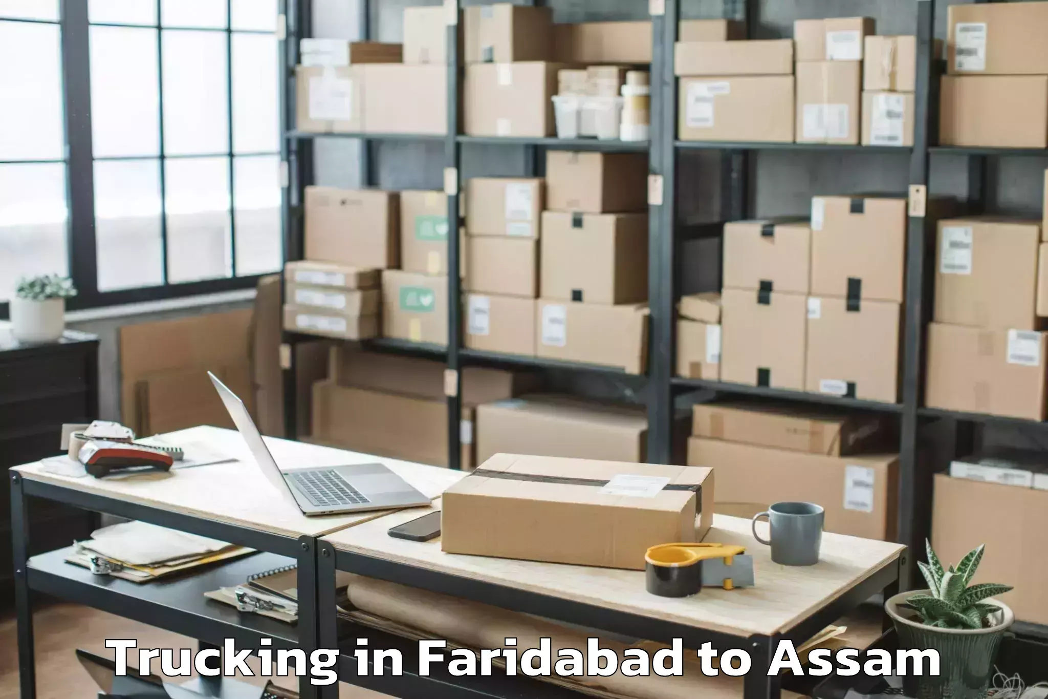 Hassle-Free Faridabad to Rangia Trucking